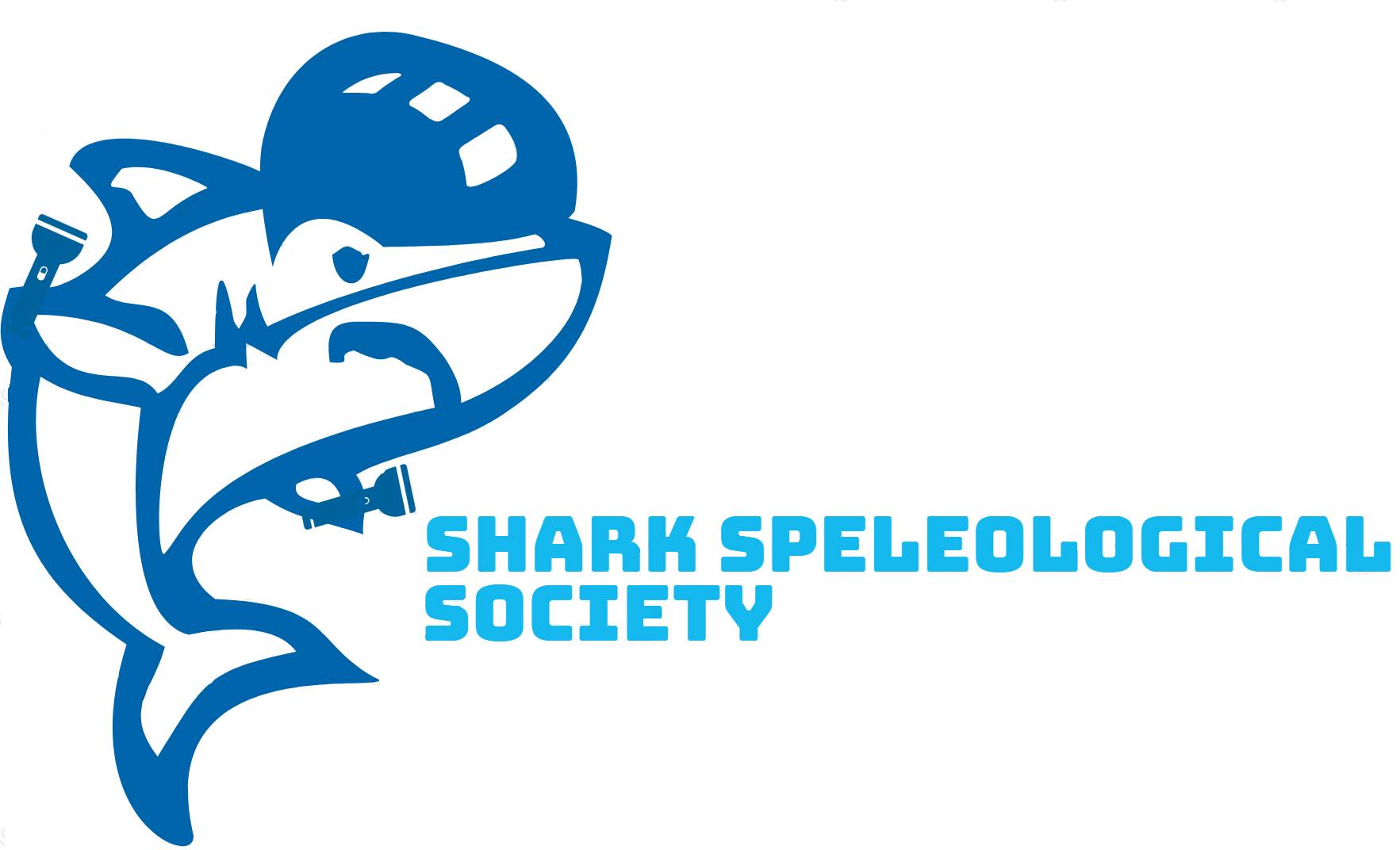 Shark logo